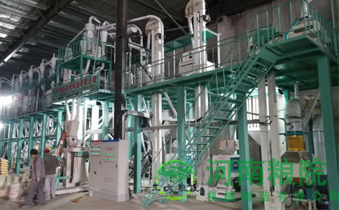 50噸玉米加工成套設(shè)備